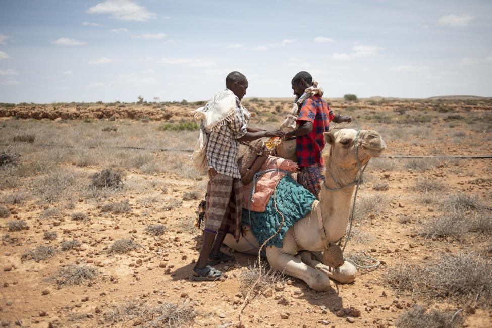 Africa hosts 37 per cent of the world’s nomadic population IOM Somalia / Tobin Jones 