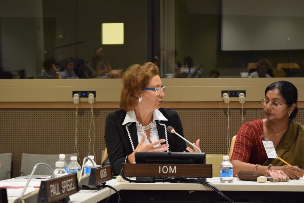 IOM Addresses Migration, Population Mobility and Health at UN Summit on Refugees and Migrants